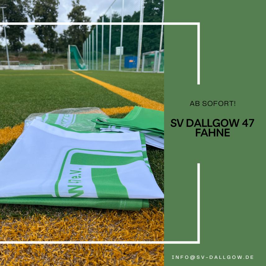 Vereinsflagge endlich da