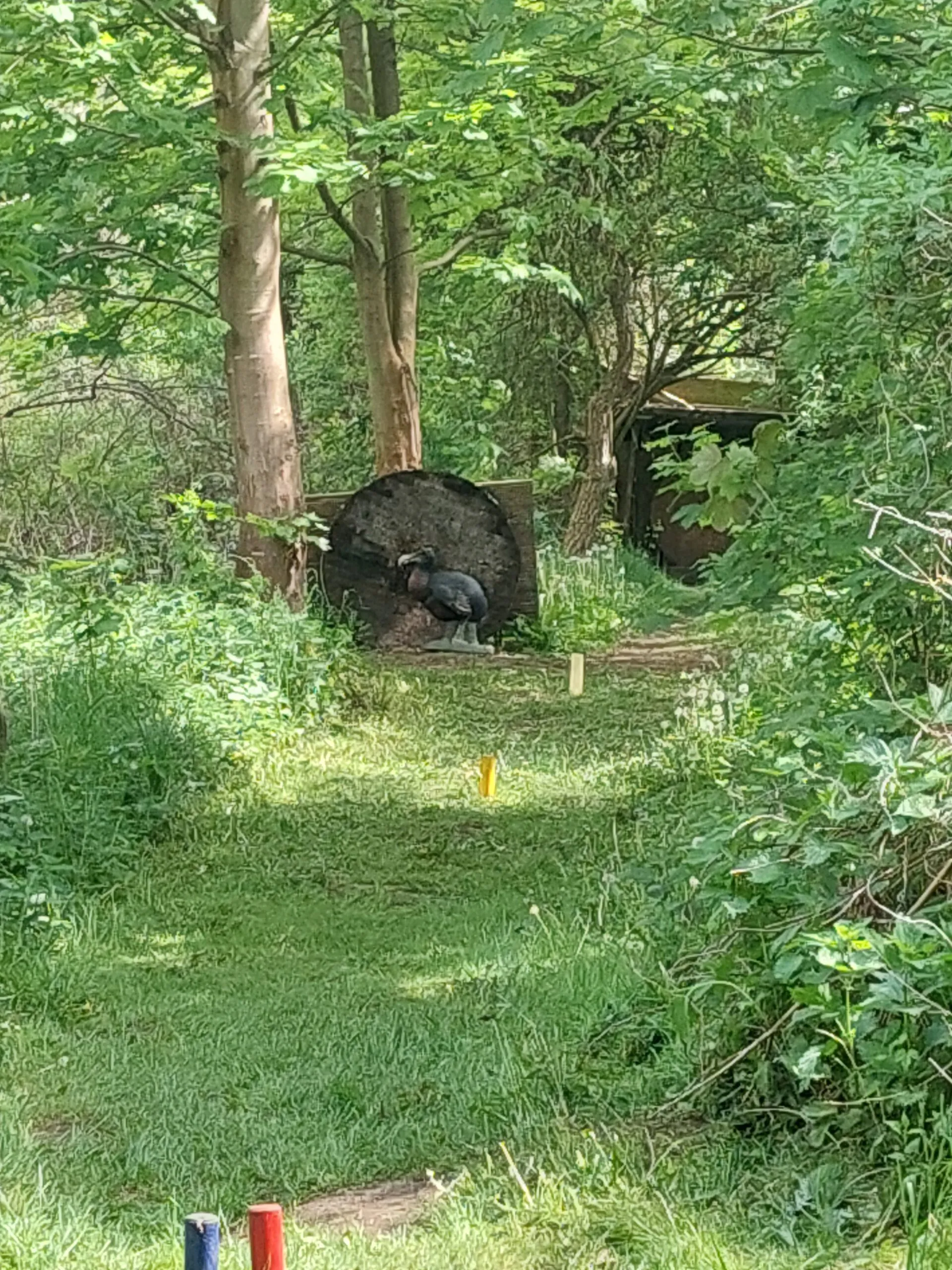 Gold und Silber bei der Berliner Landesmeisterschaft 3D 2024