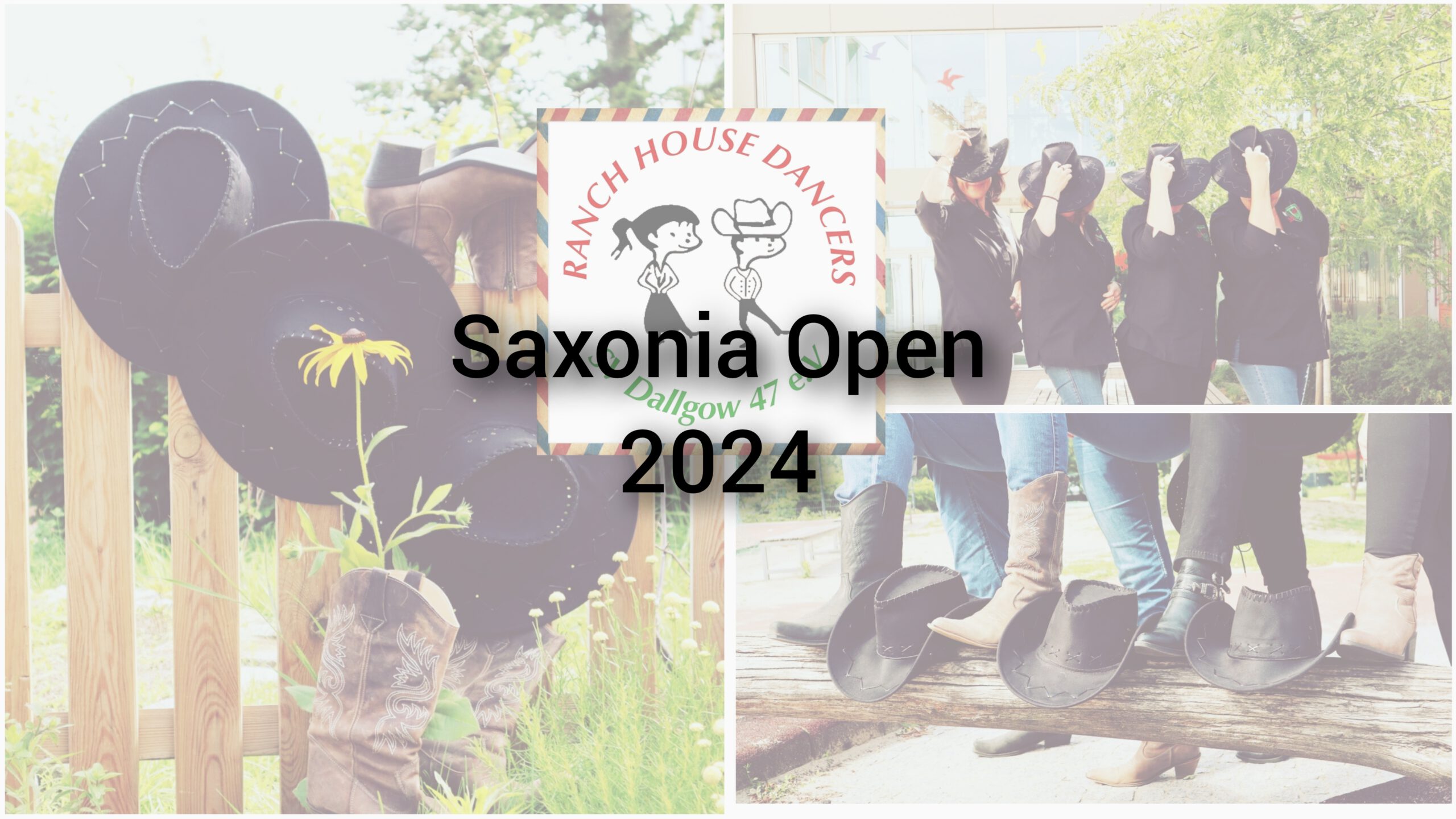 Saxonia Open in Pirna